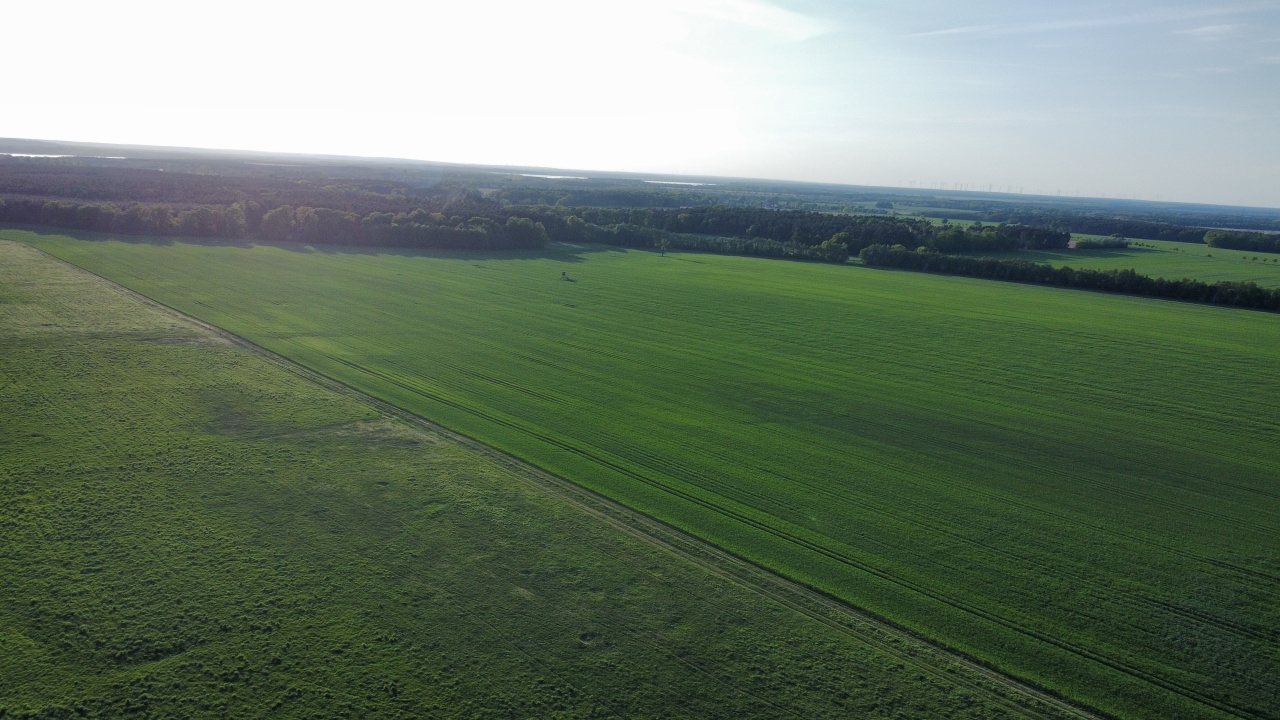 Niederlausitz Landschaft